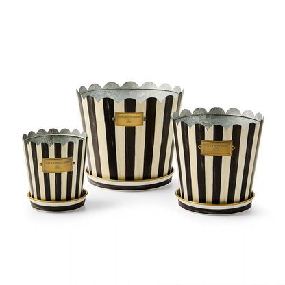 Violet Stripe Pots & Saucers, Set of 3