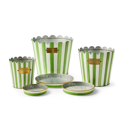 Grass Green Stripe Pots & Saucers, Set of 3