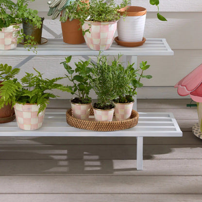 Mocha Check Herb Pots, Set of 3