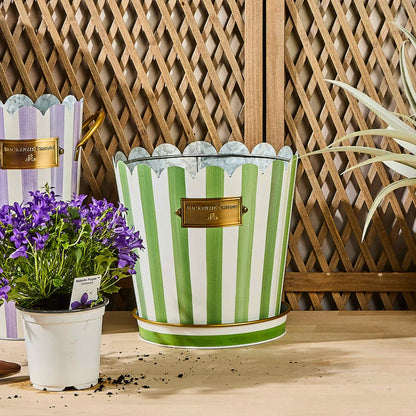 Rosy Stripe Pots & Saucers, Set of 3
