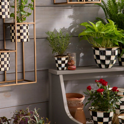 Courtly Check Herb Pots, Set of 3