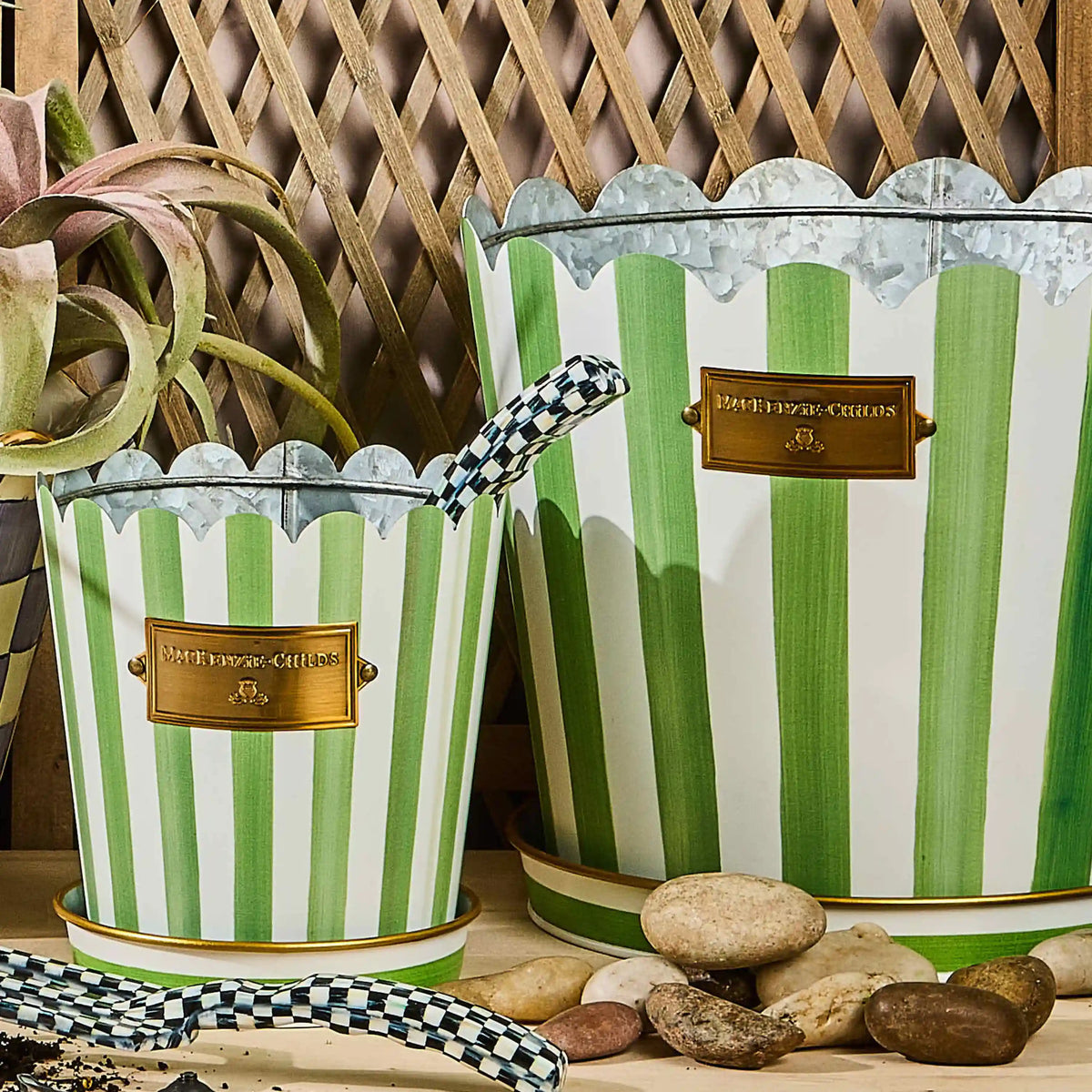 Spectator Pots & Saucers, Set of 3