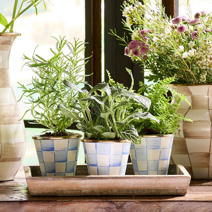 Rosy Check Herb Pots, Set of 3