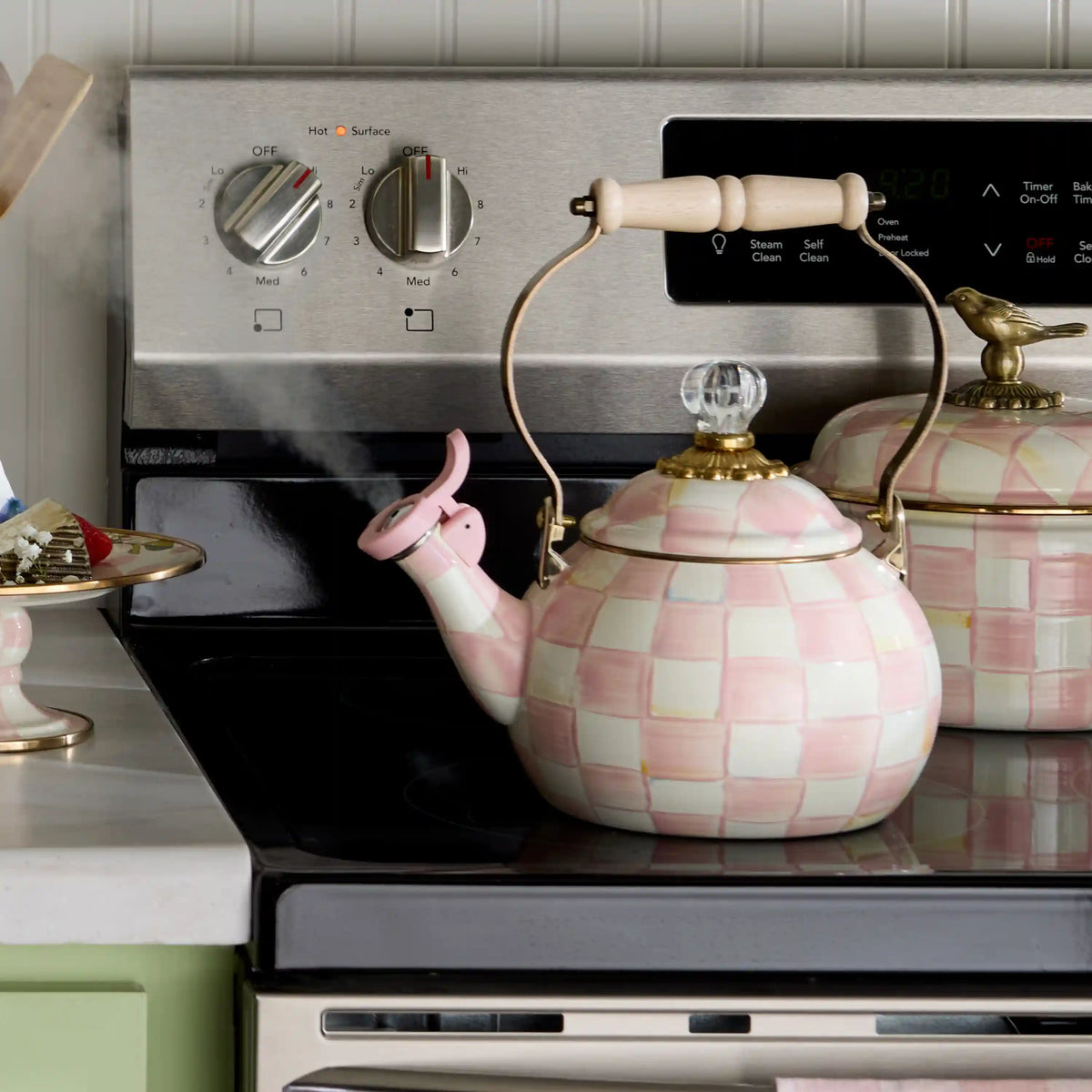 Sky Check Whistling Tea Kettle