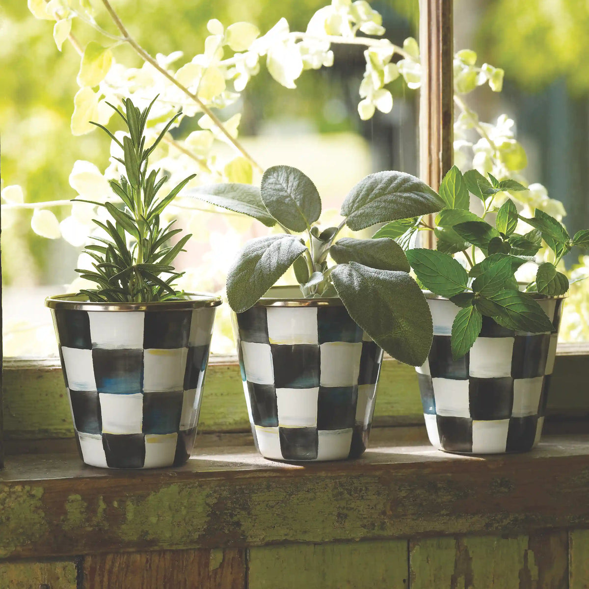 Sky Check Herb Pots, Set of 3