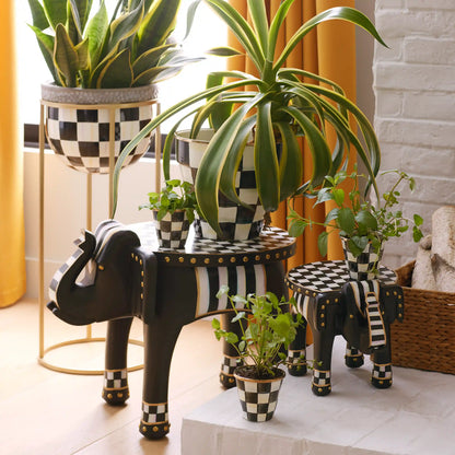 Mocha Check Herb Pots, Set of 3