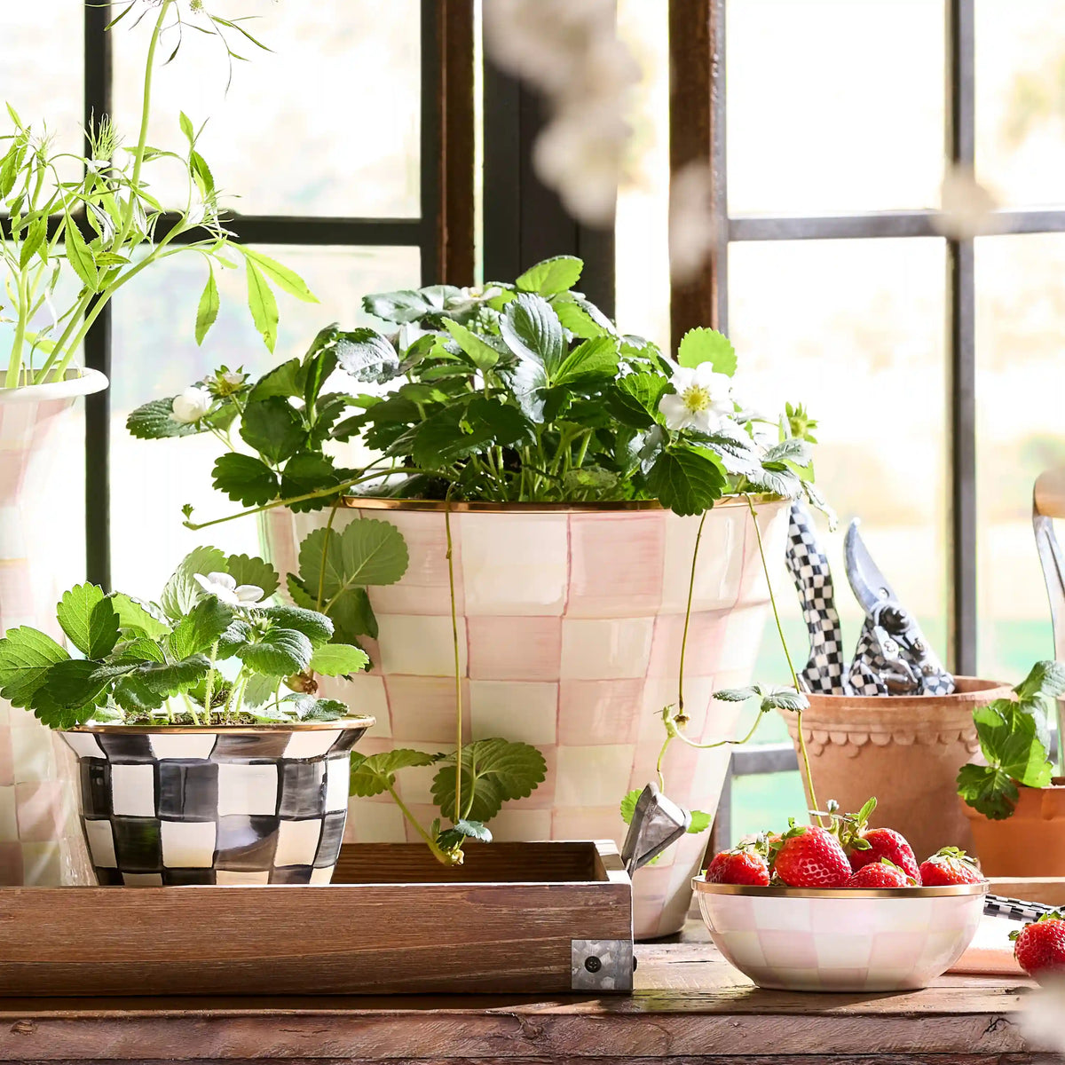 Rosy Check Extra Large Garden Pot