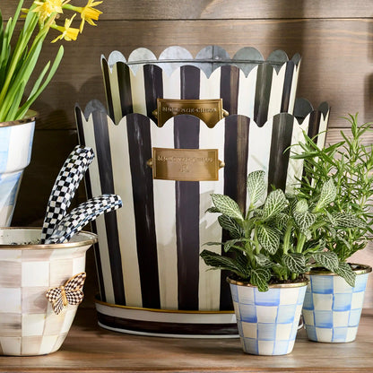 Rosy Stripe Pots & Saucers, Set of 3