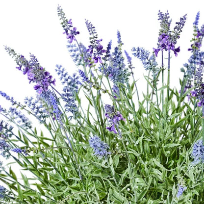 Lavender Urn Filler