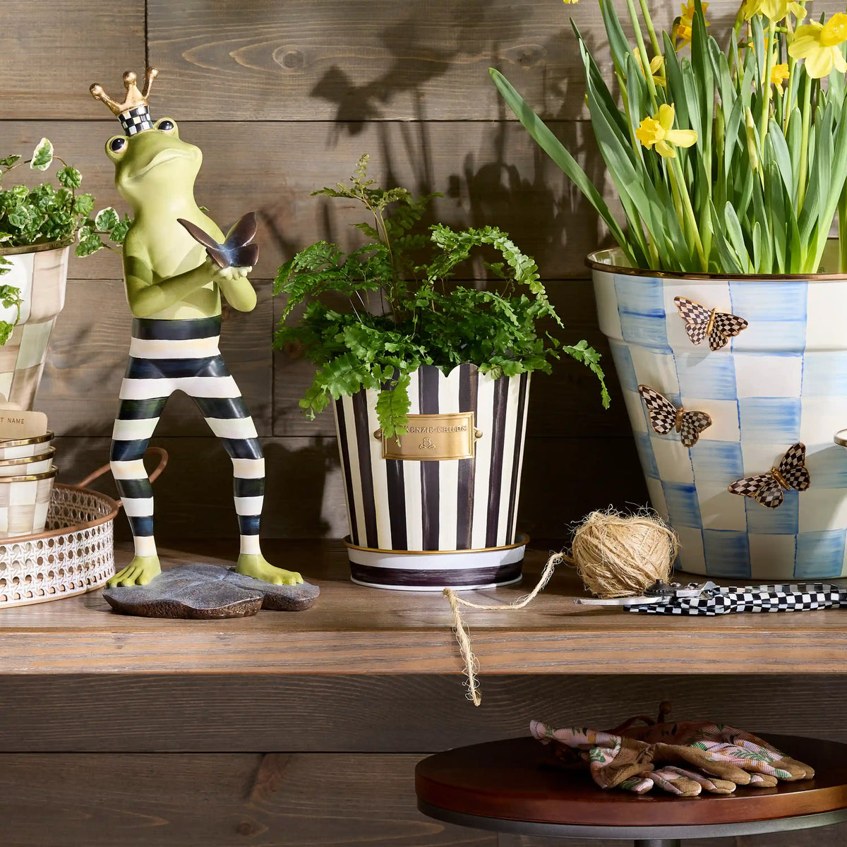 Courtly Stripe Pots & Saucers, Set of 3