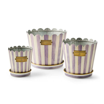 Courtly Stripe Pots & Saucers, Set of 3