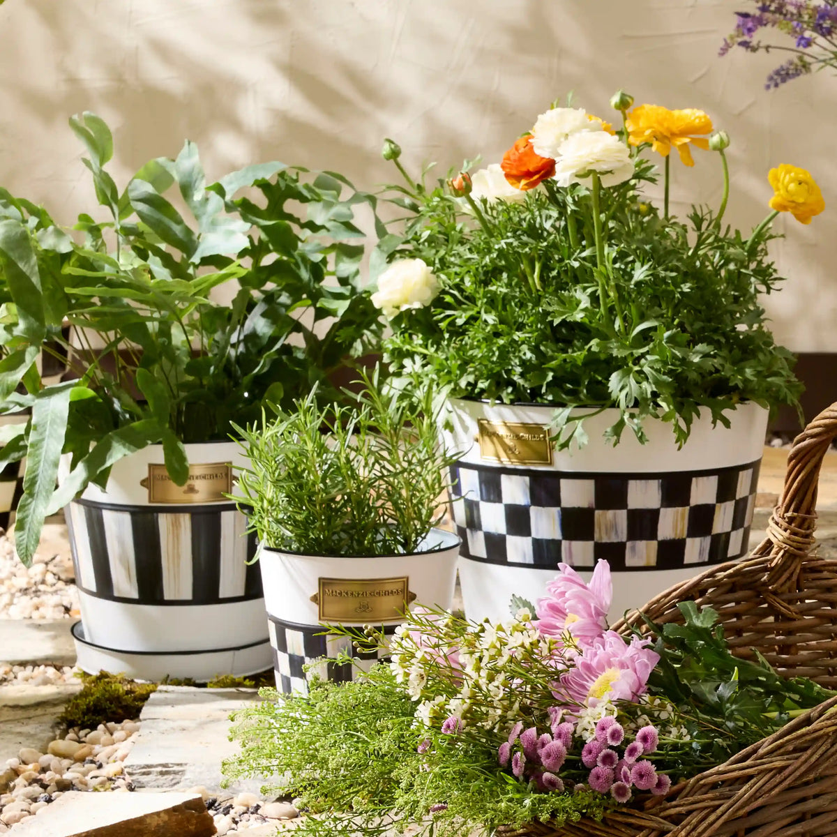 Grass Green Stripe Pots & Saucers, Set of 3