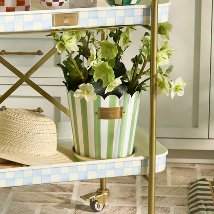 Grass Green Stripe Pots & Saucers, Set of 3